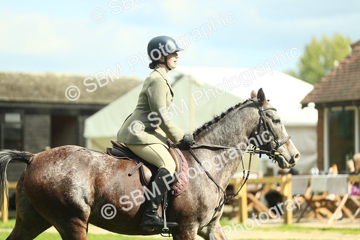 SBM_42136 - S29 - Novice & Newcomers Working Hunter Pony