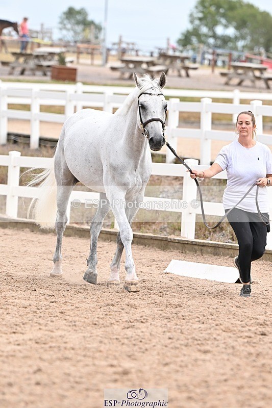 250716-152256-01894 - Trot Up 2.30 to 3.30