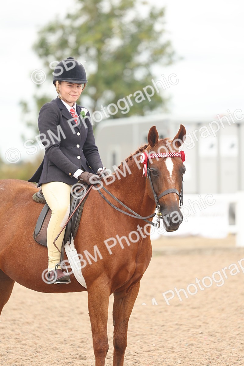 SBM_16036 - Class 311 - Ridden Show pony-Show hunter Pony