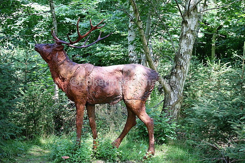  - Elemental Sculpture Park