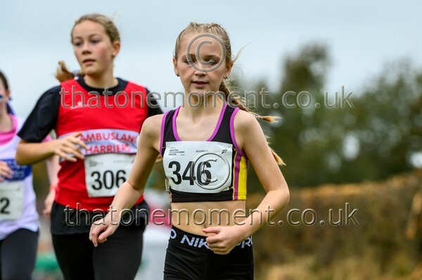 WestRLY25-923442 - Young Female Set One