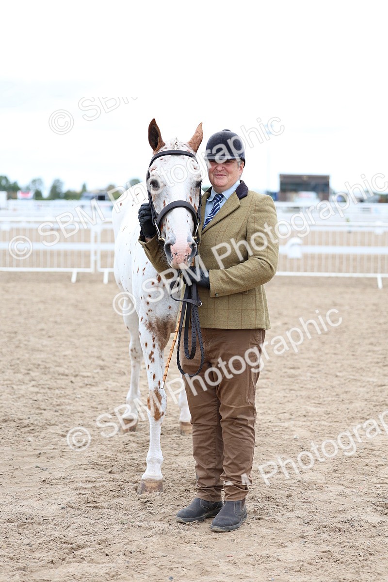SBM_05083 - Class 27 - IH Competition Horse or Pony