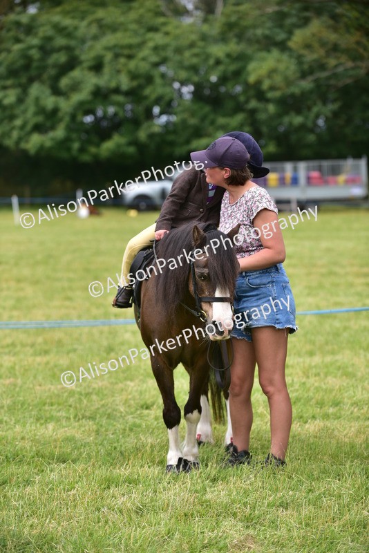20260614-3715 - Class 15 - Prettiest Mare