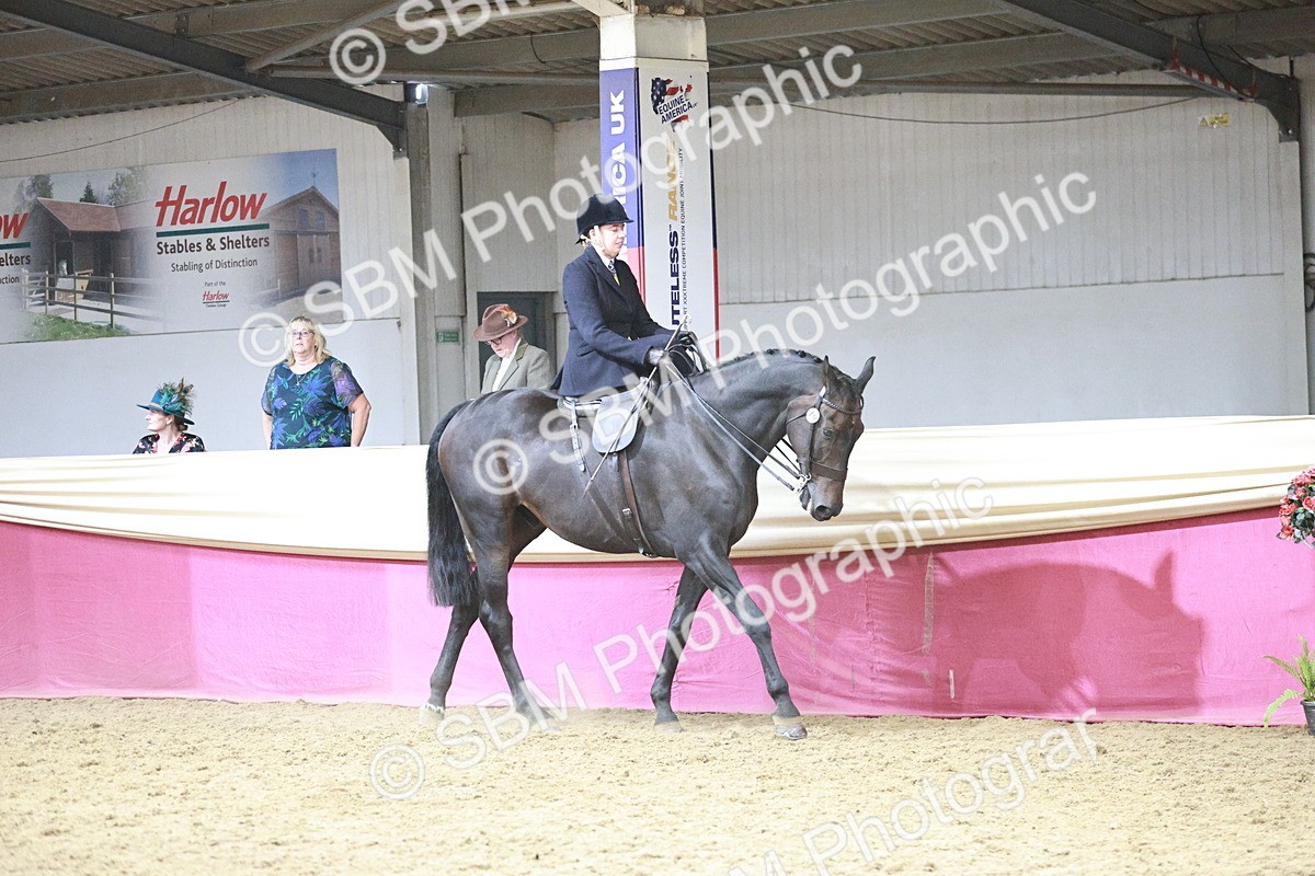 SBM_08739 - Class 12R - Regional Ridden Pre-Vet