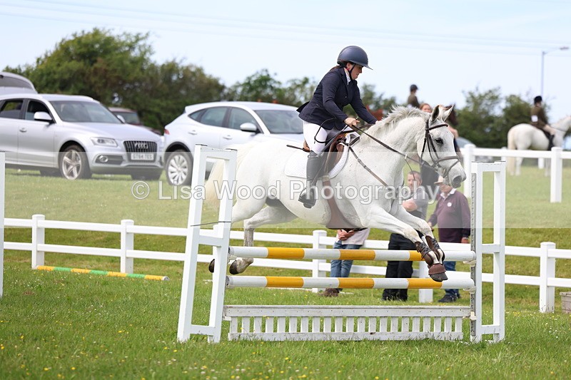 3E7A1831 - Class 13: Senior British Novice/90cm open