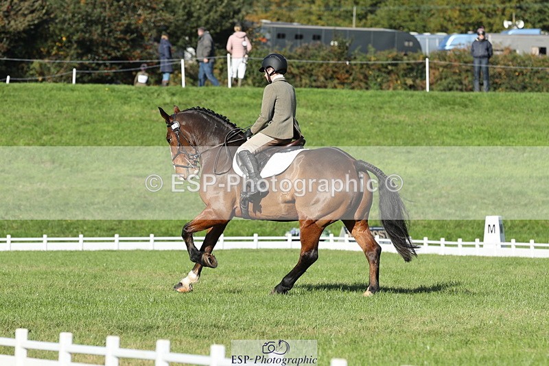 251024A-112131-09960 - D-351-Thomas.Harris