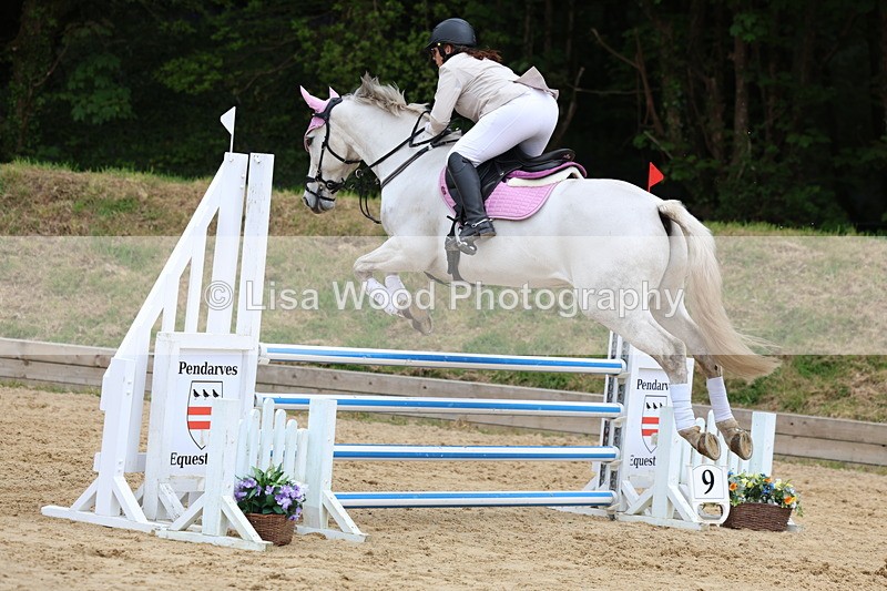 3E7A6296 - Class 4: Senior British Novice/90cm open