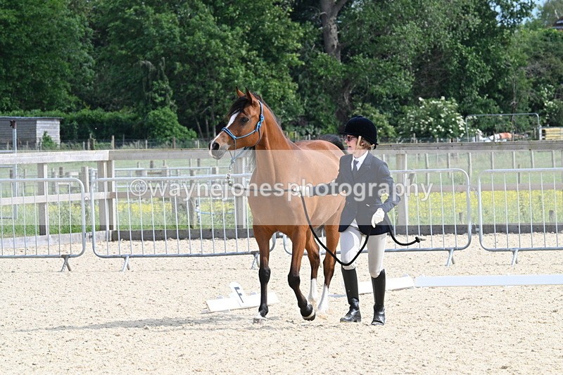 WJ7_8240 - Time 16:10 to 16:25