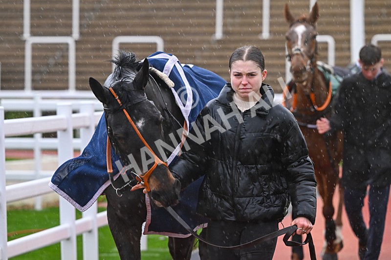 141125-Race 1-The Jam Man-8506 - Race 1