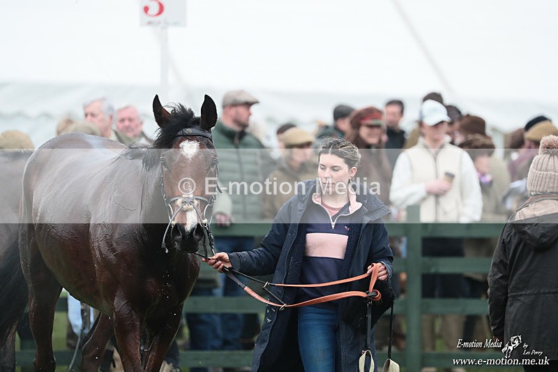 PtP 080326 232 - Pytchley with Woodland Point-to-Point Guilsborough 08/03/26