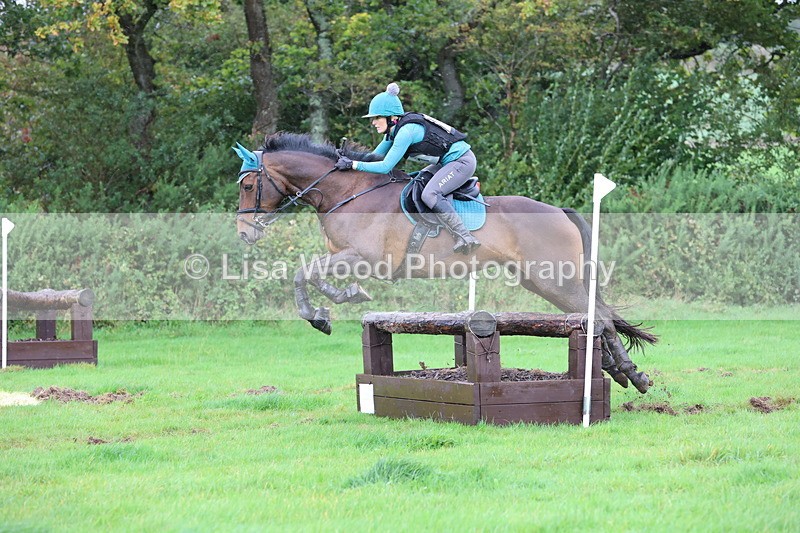 JPP_5455 - Class 4: 80cm: Crossed Logs