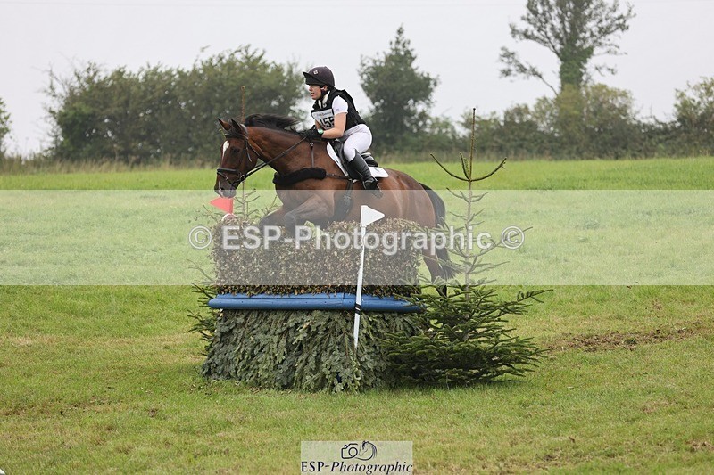 240901A-112018-06242 - 455-Bel.Wright-KING.BILL