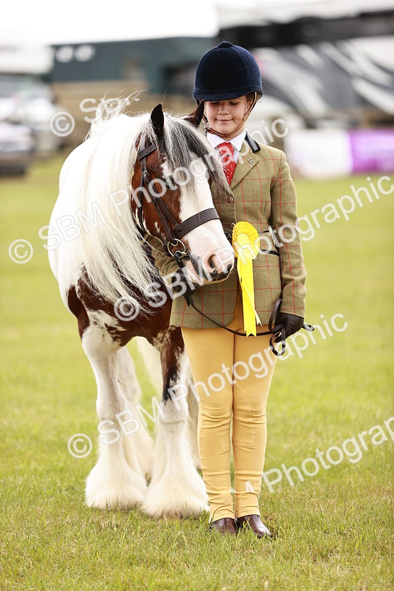 SBM_06071 - Class 39-41 TGCA In Hand and Ridden