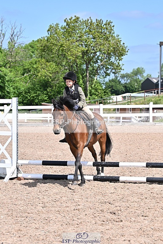 250517-114618-00979 - 40cm