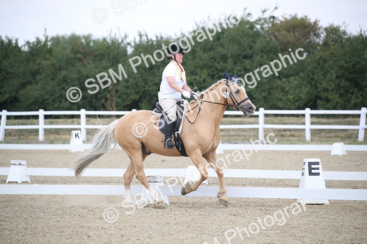 SBM_008195 - Novice 5 - 10.56-13.12