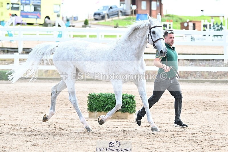 240717A-144056-02193 - Trot Up 2pm to 3pm - This folder is not in time order