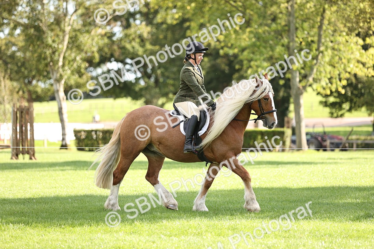 SBM_26356 - S6 - Novice & Newcomers Ridden Horse