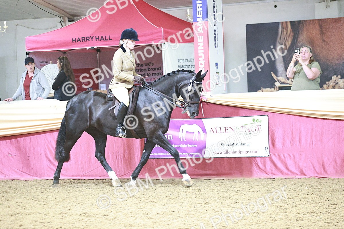 SBM_08811 - Class 12R - Regional Ridden Pre-Vet