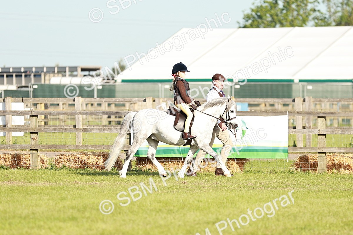 SBM_11036 - Class 106-107 - BSPS LIHS Working Sports Pony