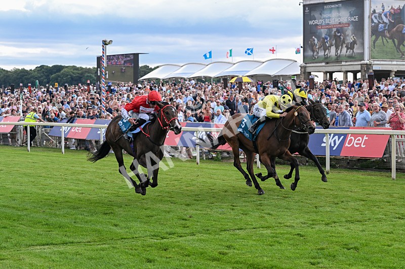 250726-Race 5-Rogue Jewel-7570 - Race 5 15.42pm Sky Bet Price Boosts EBF Fillies' Novice Stakes