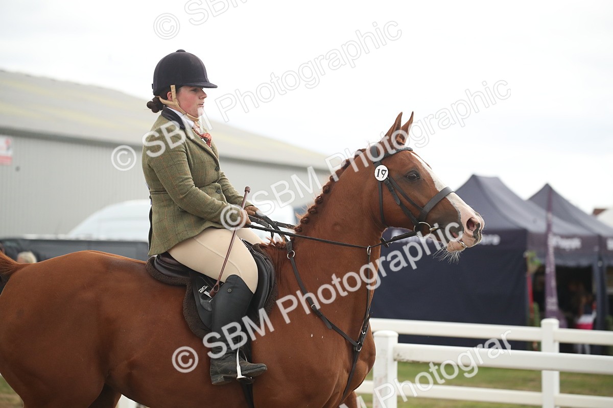 SBM_18465 - Class 510a - Working Veteran 90cm (15-19)