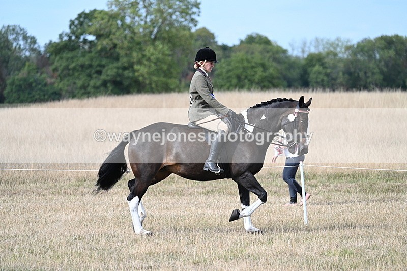 WJ7_7655 - Ridden Championship
