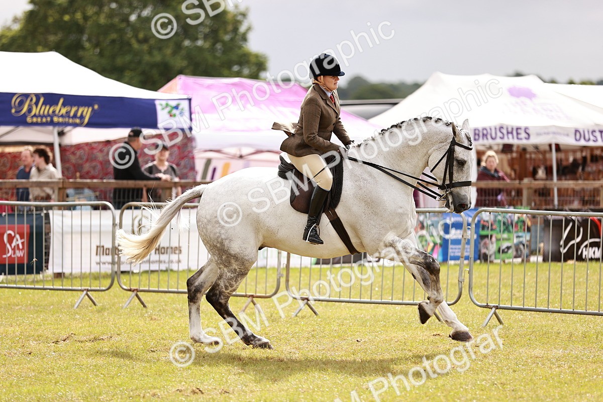 SBM_11570 - Class 81-84 - RIHS Ridden hunters Inc Ladies Hunter