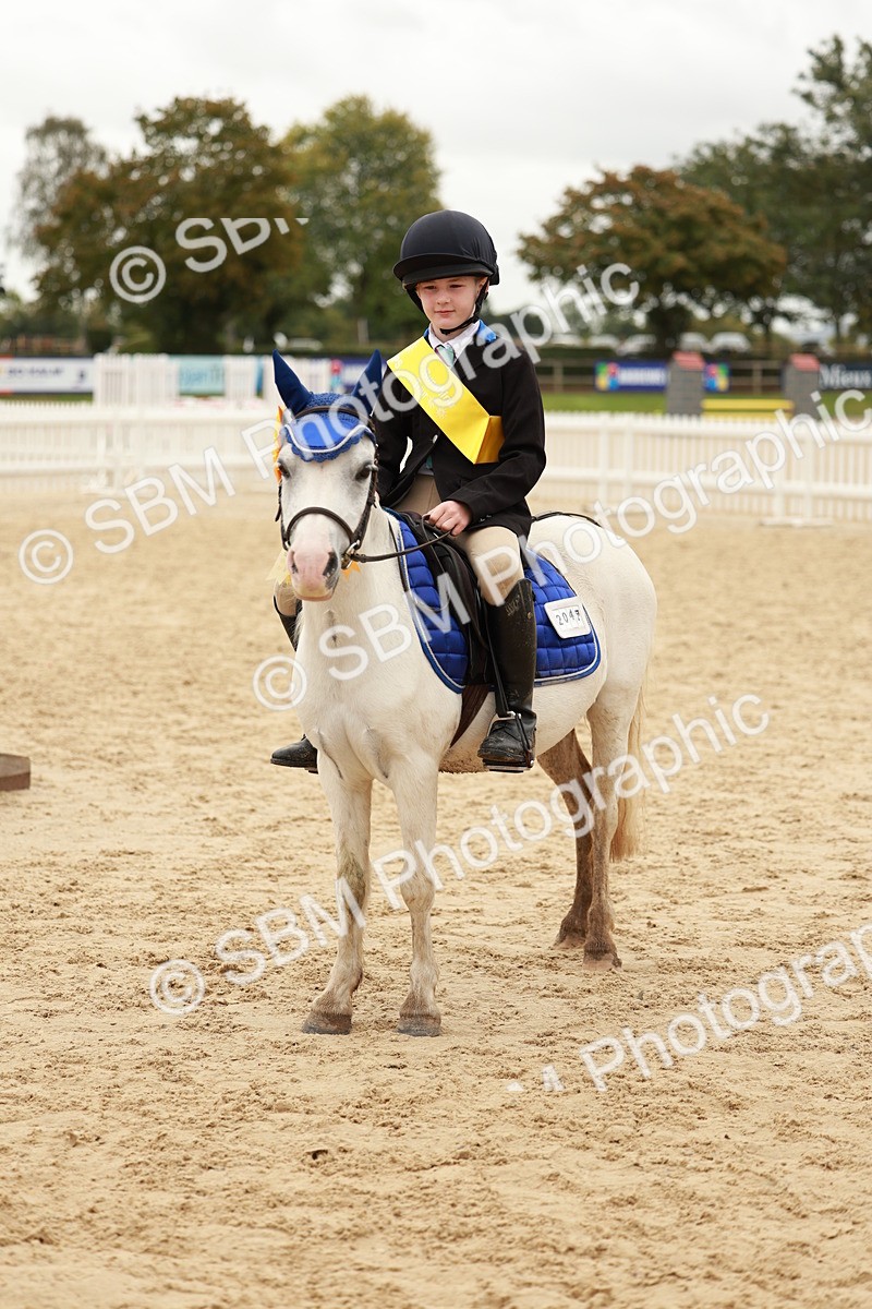 SBM_58075 - J11 - Junior Pony 50cm Championship