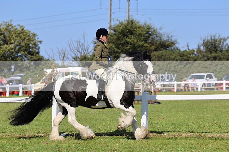 IMG_1614 - Class 30: Ridden Native/Trad Coloured Pony