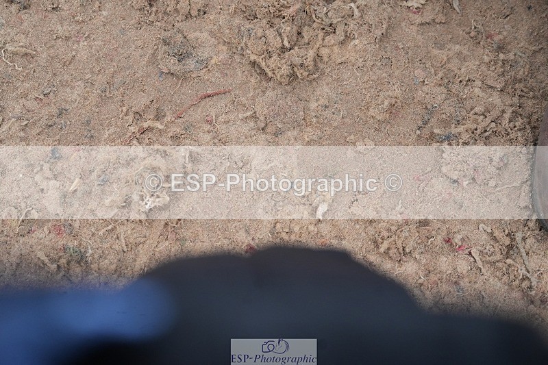 260315-132817-06272 - Cls 36 1.05m Amateur Quali