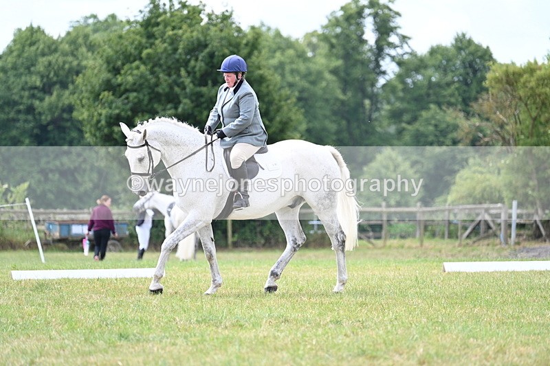 WJ7_5005 - Time 11:22 to 11:51