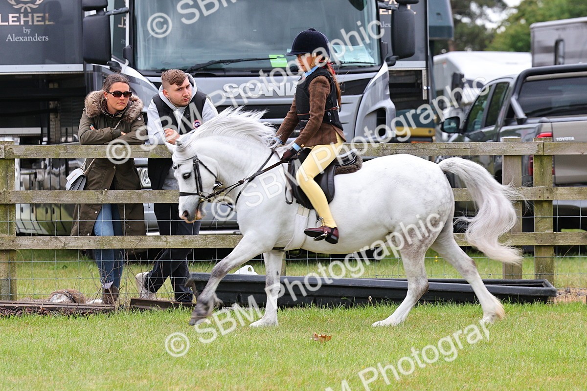 SBM_08705 - Class 42-43 - LIHS BSPS Heritage Working Sports Pony