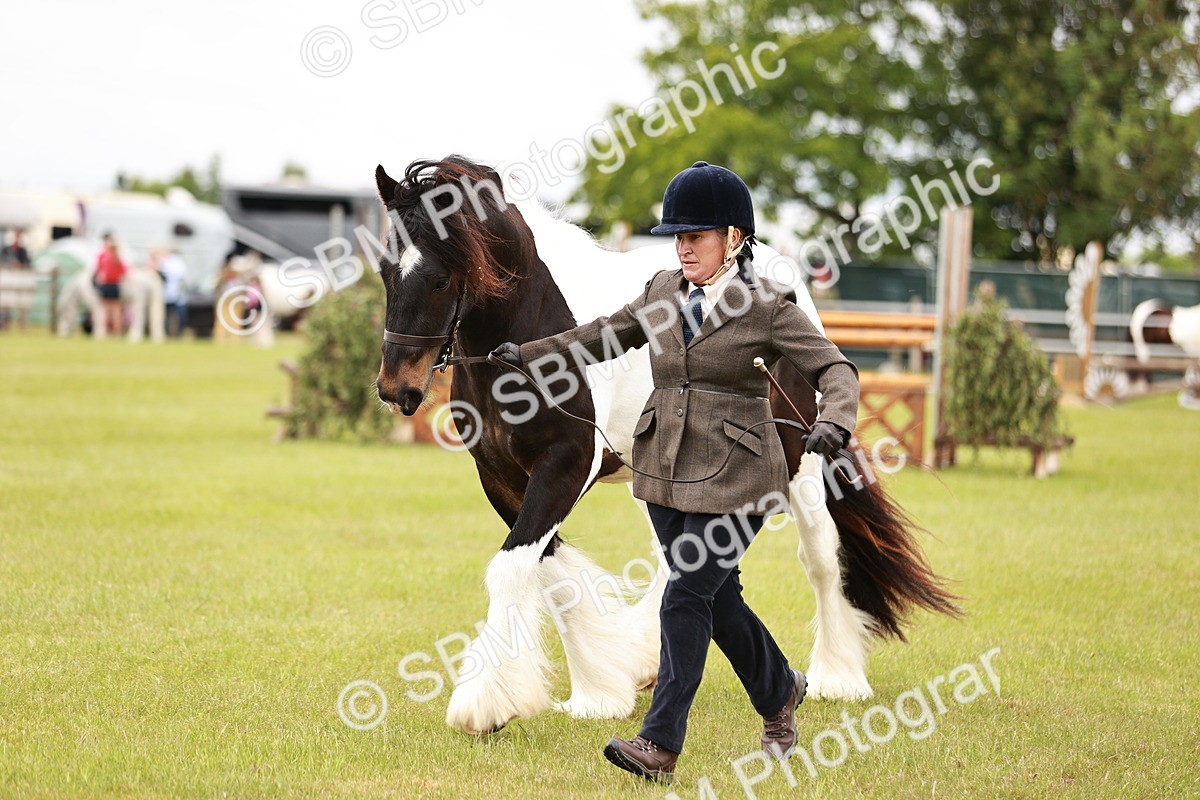 SBM_05980 - Class 39-41 TGCA In Hand and Ridden