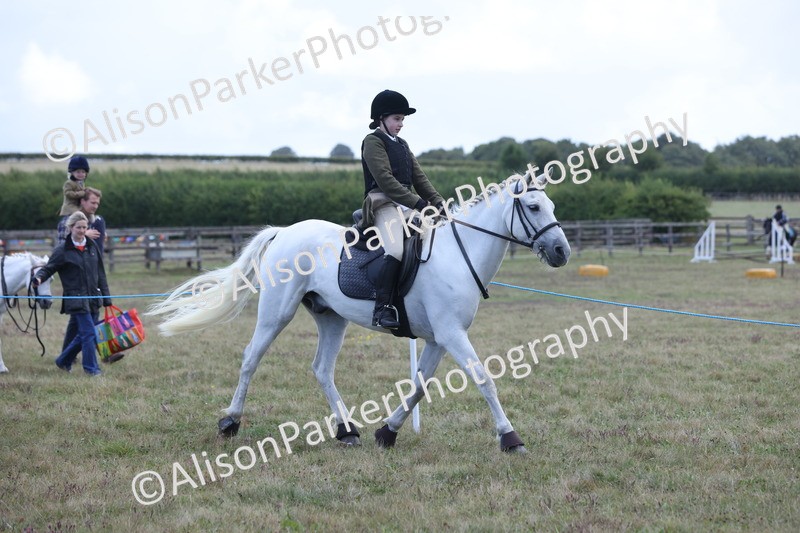 20250831-2397 - Class 16 - Family Pony