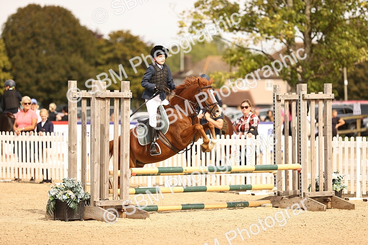 SBM_66818 - J13 - Junior Pony 60cm Championship