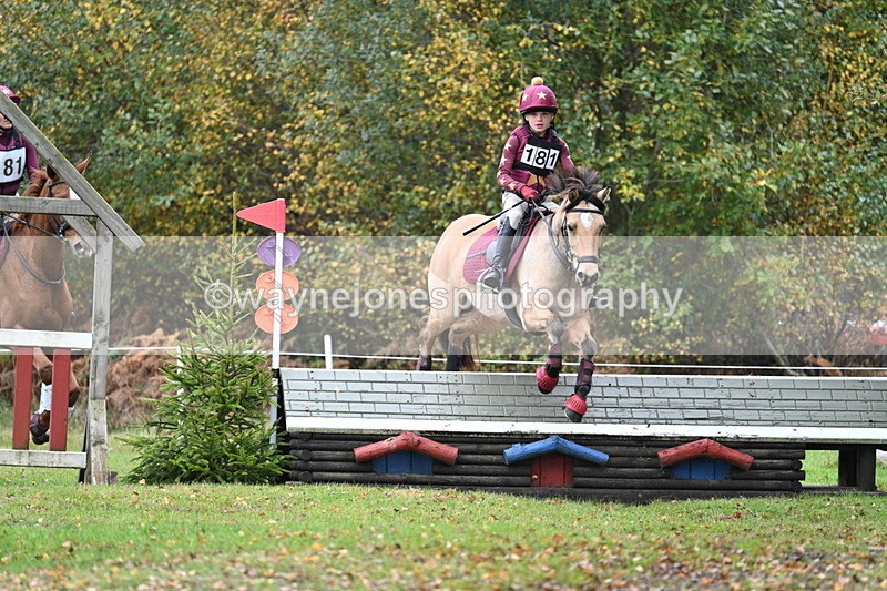 WJ7_2279 - 80cm Cam 2 Pairs Time 12:18 to 12:43