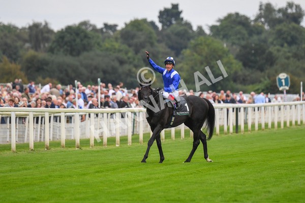 230823-Race 4-Mostahdaf-0629 - Race 4 3.35pm Juddmonte International Stakes