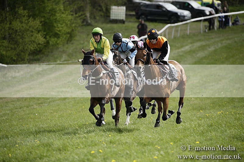 PtP 170417 287 - Old Berks Point-to-Point Lockinge 17/04/17