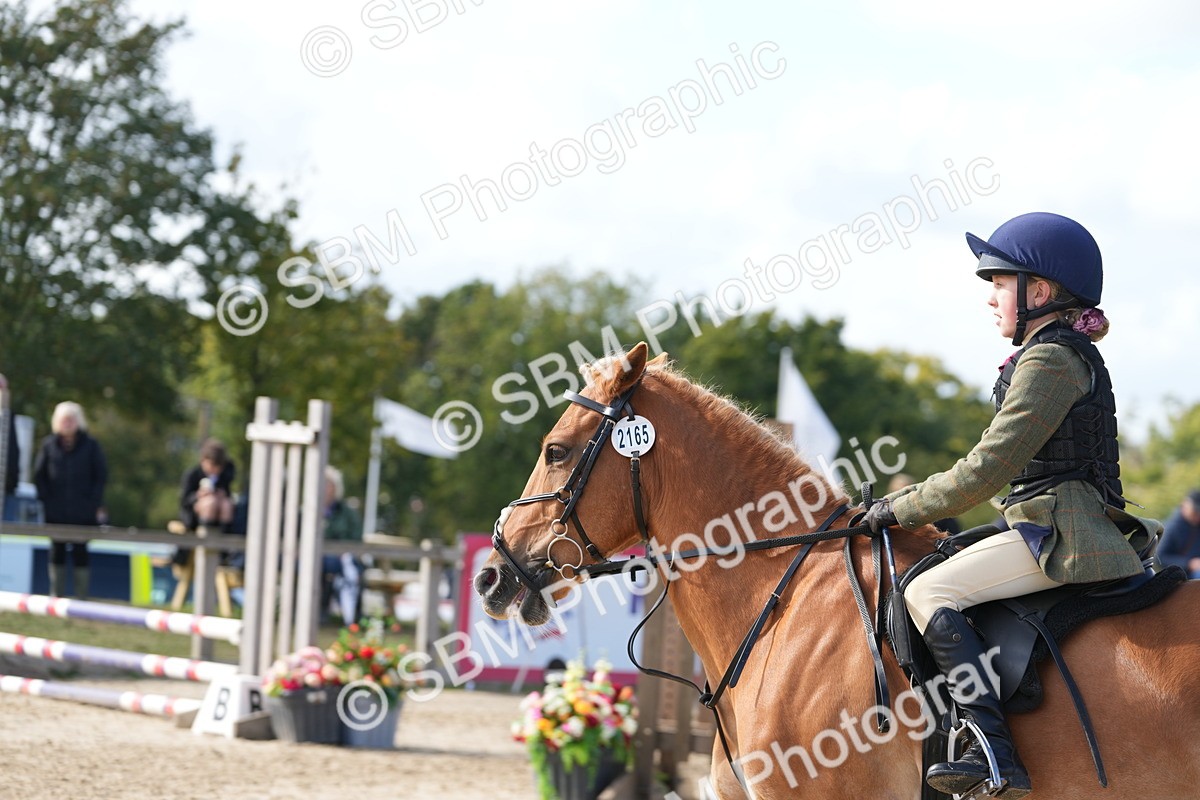 SBM_48479 - J7 - Junior Pony 60cm Championship