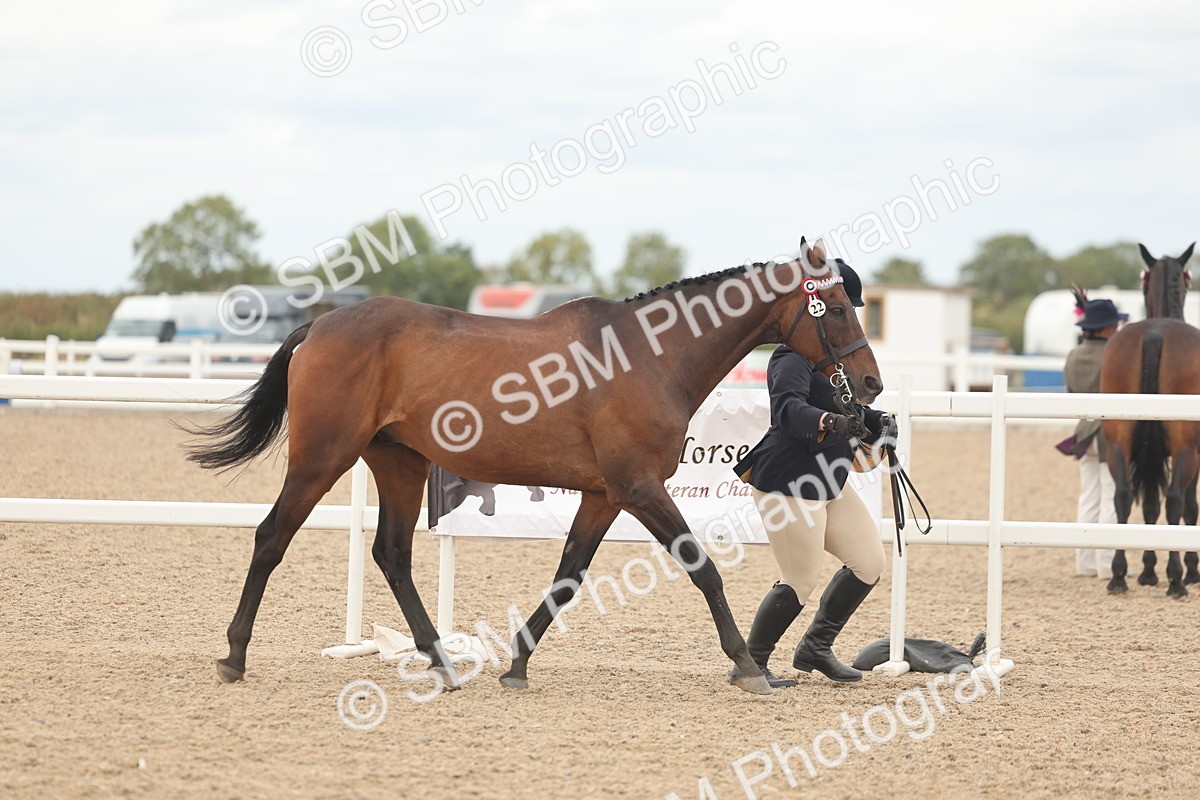 SBM_17064 - Class 313 - IH Retired Racehorse