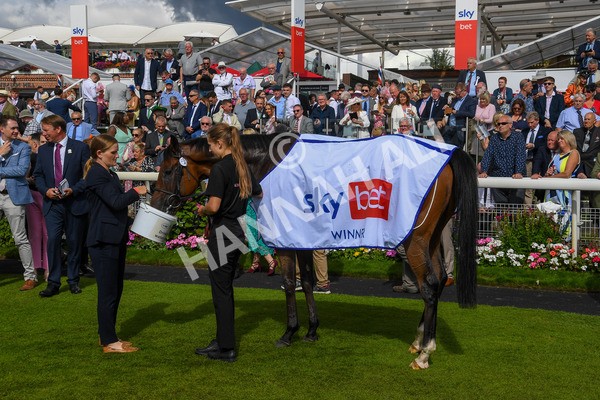 260823-Race 3-Kinross-0421 - Race 3 Sky Bet City Of York Stakes