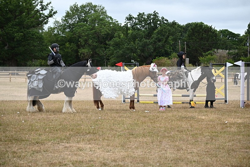 WJ6_9184 - Class 11 Fancy Dress