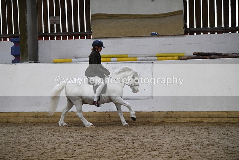 WJ5_6282 - Class 9 Ridden Veteran