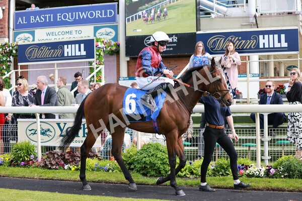 yr21052022r5-9 - Race 5: 4:07pm Phoebe Johnson Celebration EBF Restricted Novice Stakes