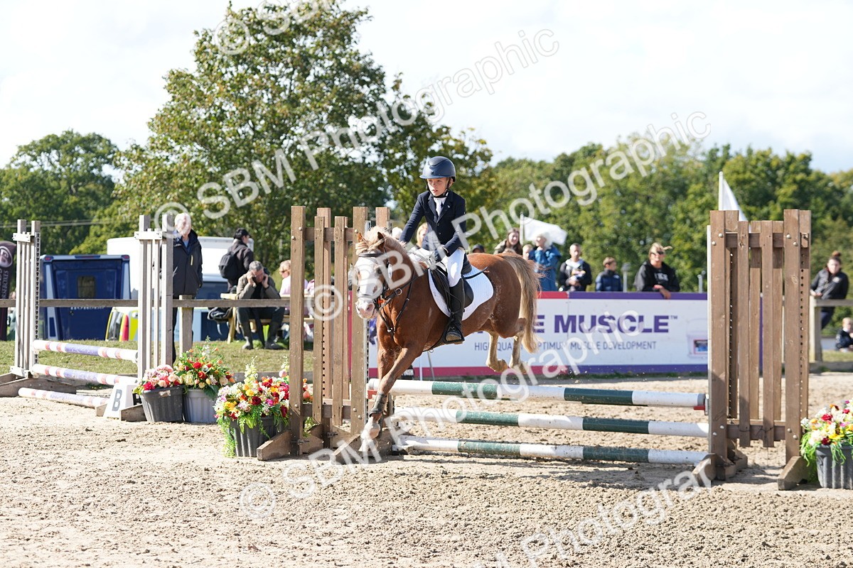 SBM_46520 - J7 - Junior Pony 60cm Championship