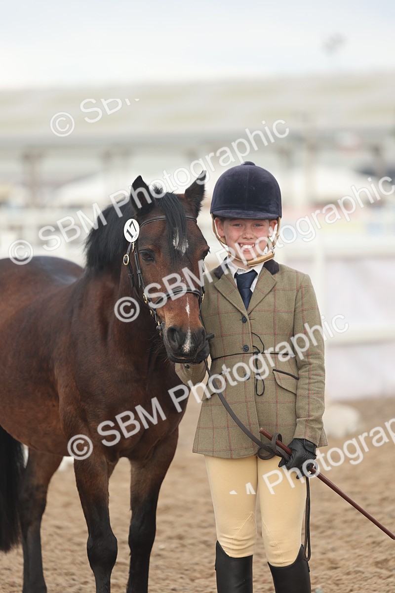 SBM_08554 - Class 29 - IH Veteran Pony