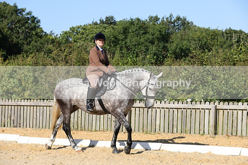 1X9A7701 - Class 9: Open Ridden Hunter
