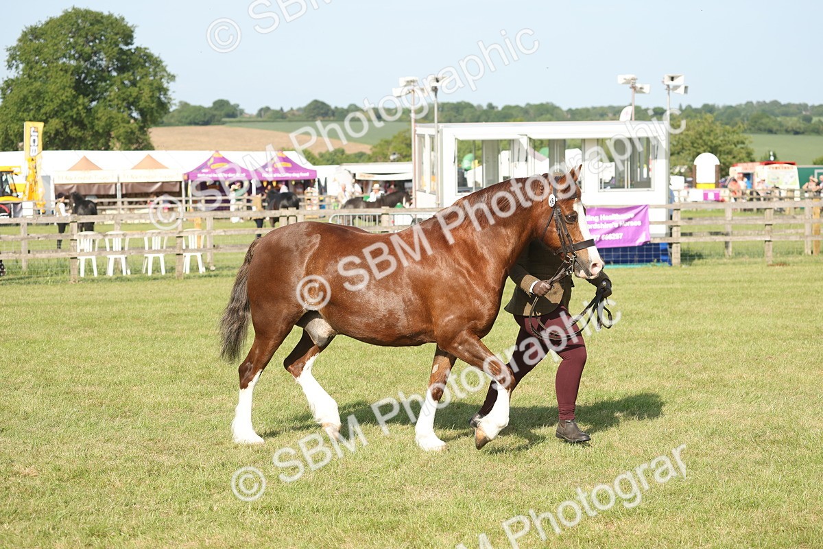SBM_10354 - Class 33-38 - SSADL RIHS Qualifiers