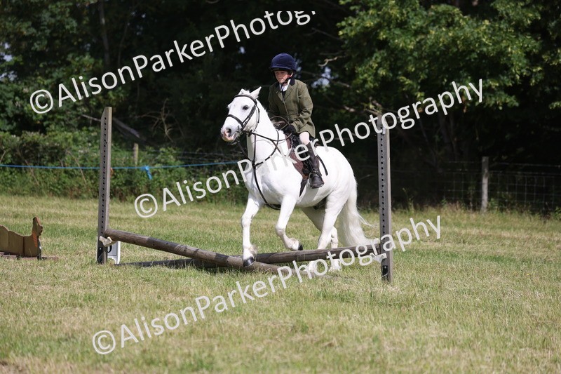 20260614-0650 - Class 20 - Beginners Working Hunter Pony
