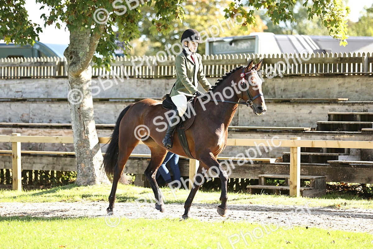 SBM_16889 - S2 - TSR Ridden Pony Showing